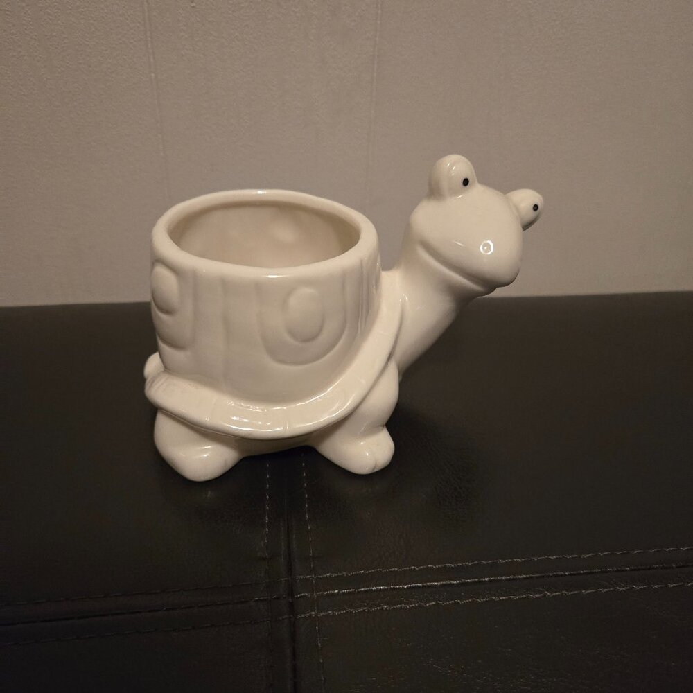 Turtle plant/knick knack holder